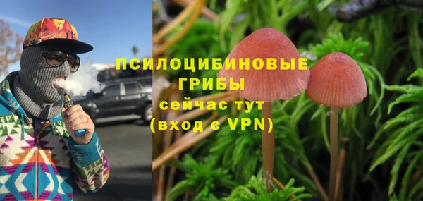 тгк Богородск