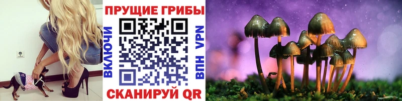 Псилоцибиновые грибы Magic Shrooms  Орск 